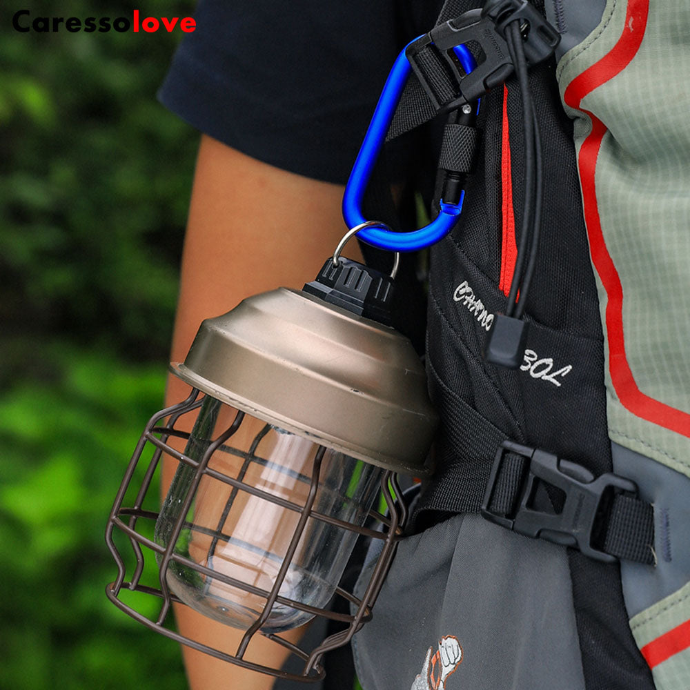 Careolove 8PCS Screwgate Locking Carabiner Clip, Aluminum D Ring Shape Professional Rock Climbing Carabiner Screw Lock, For Hiking Camping Fishing And Outdoor Use